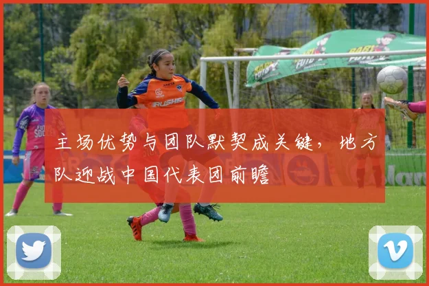 主场优势与团队默契成关键，地方队迎战中国代表团前瞻
