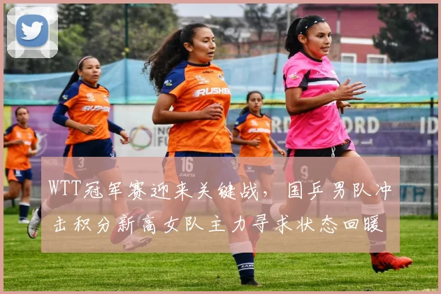 WTT冠军赛迎来关键战，国乒男队冲击积分新高女队主力寻求状态回暖