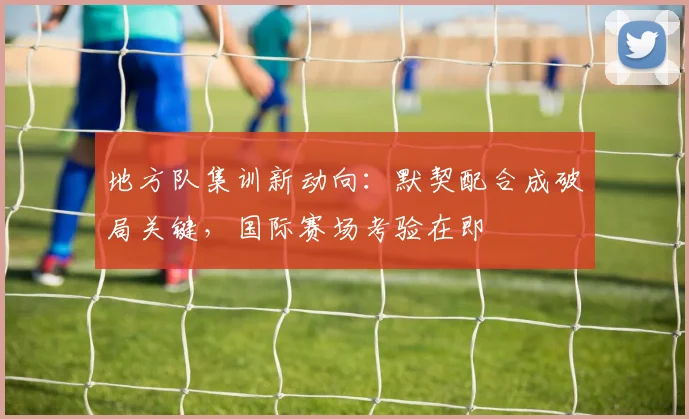 地方队集训新动向：默契配合成破局关键，国际赛场考验在即