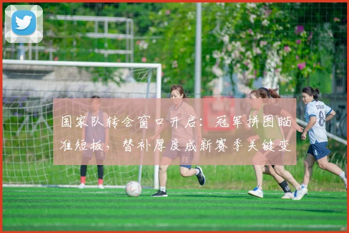 国家队转会窗口开启：冠军拼图瞄准短板，替补厚度成新赛季关键变量