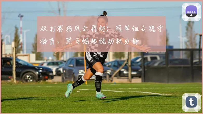 双打赛场风云再起：冠军组合稳守榜首，黑马崛起搅动积分榜