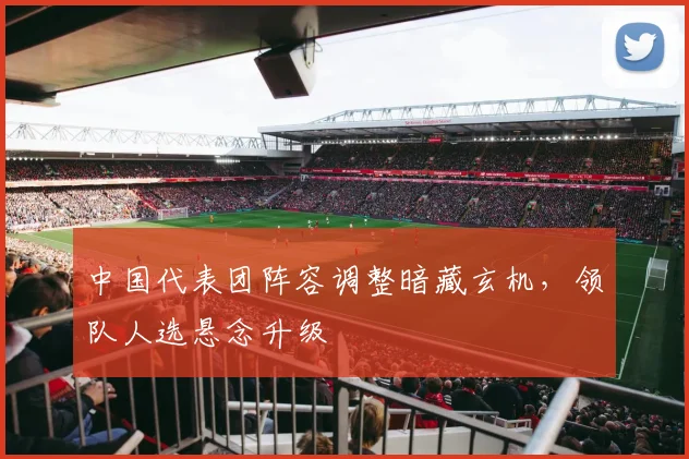 中国代表团阵容调整暗藏玄机，领队人选悬念升级
